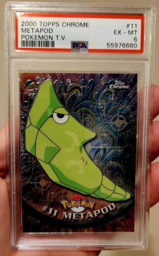 Metapod #11