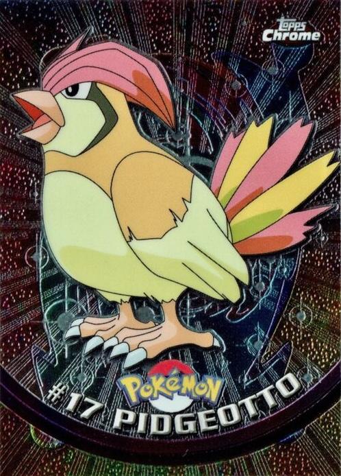Pidgeotto #17