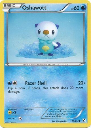 Oshawott #28