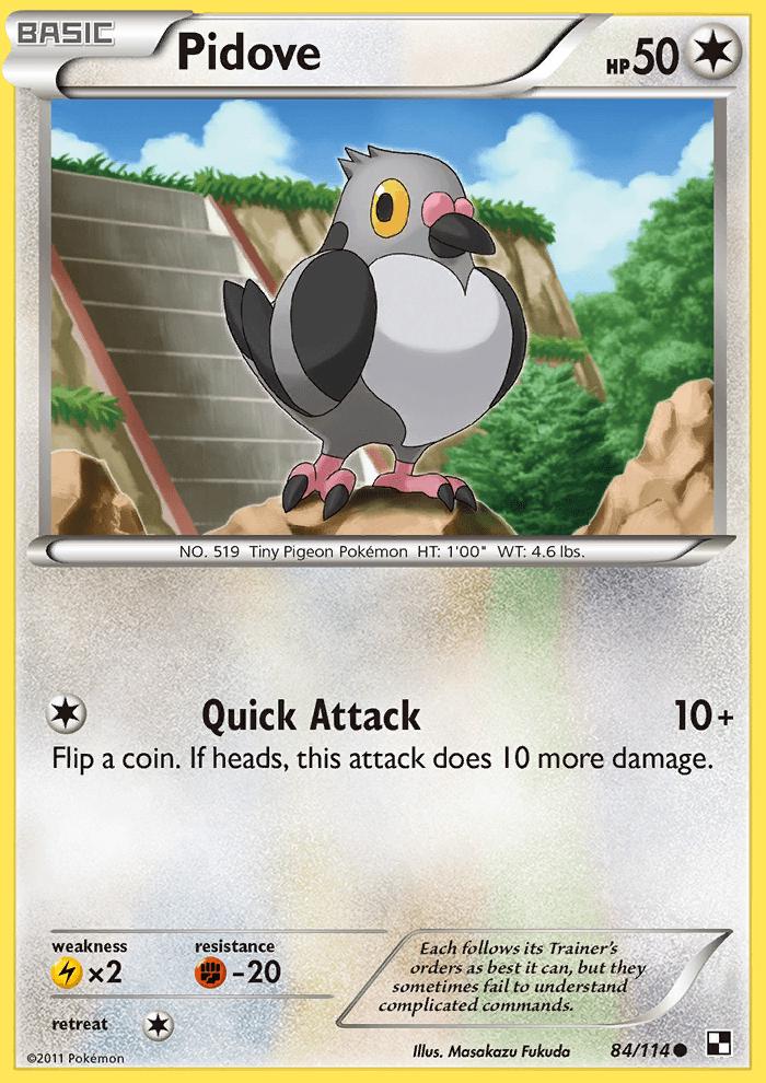 Pidove #84