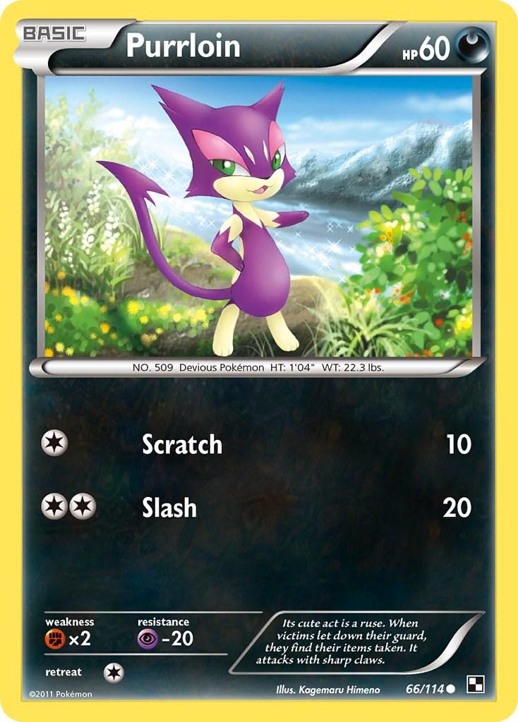 Purrloin #66