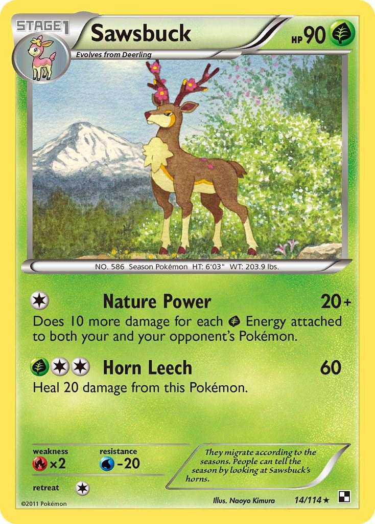 Sawsbuck #14