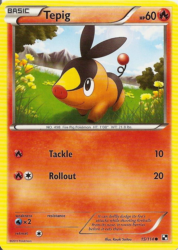 Tepig #15