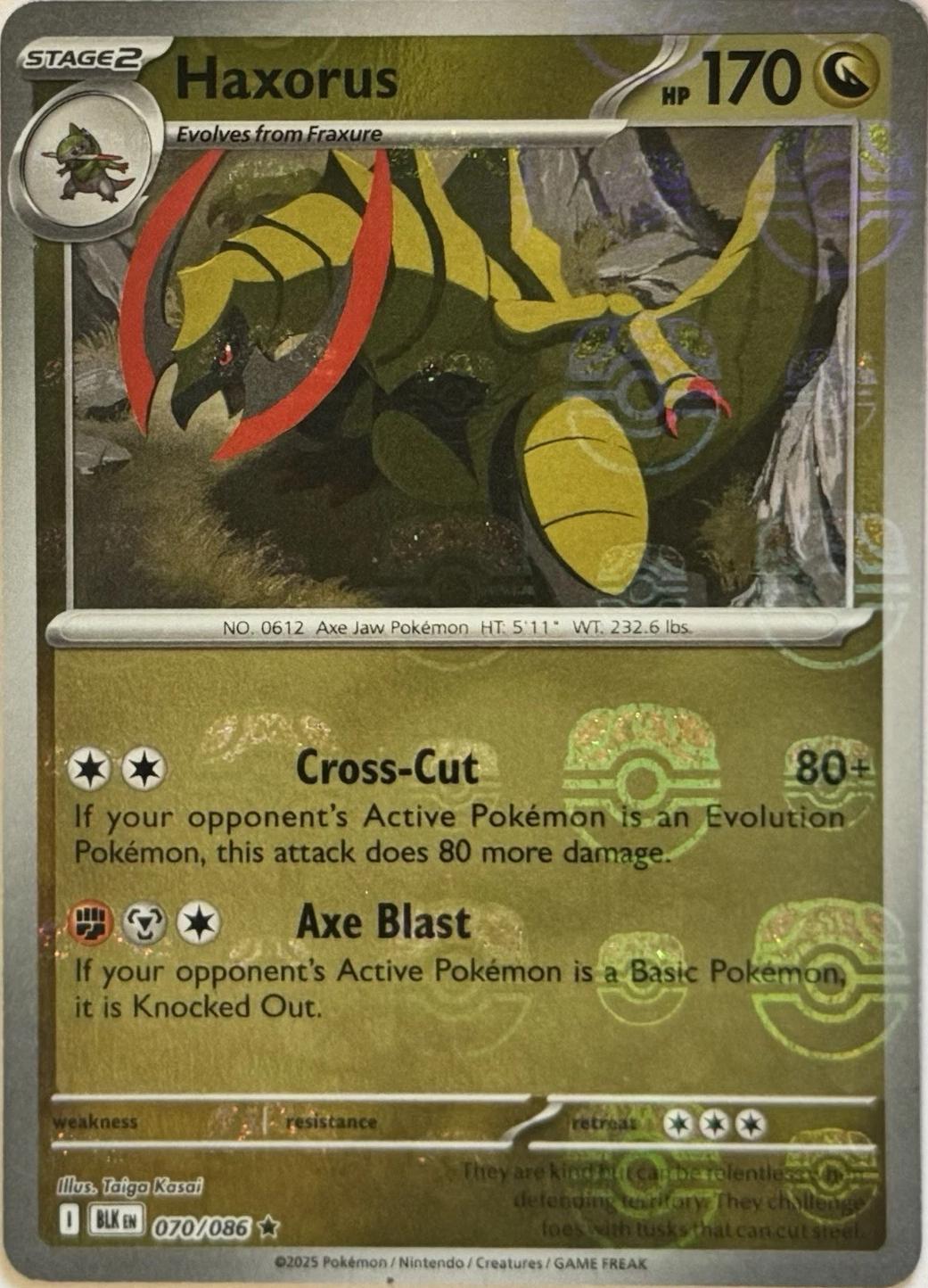 Haxorus [Master Ball] #70