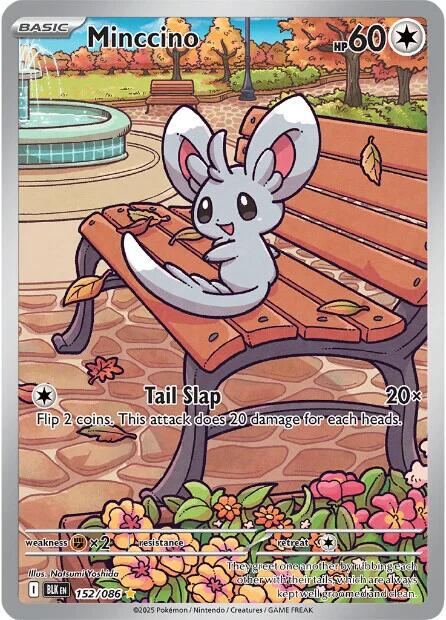 Minccino #152