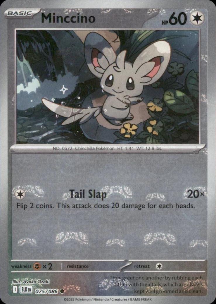 Minccino [Master Ball] #75