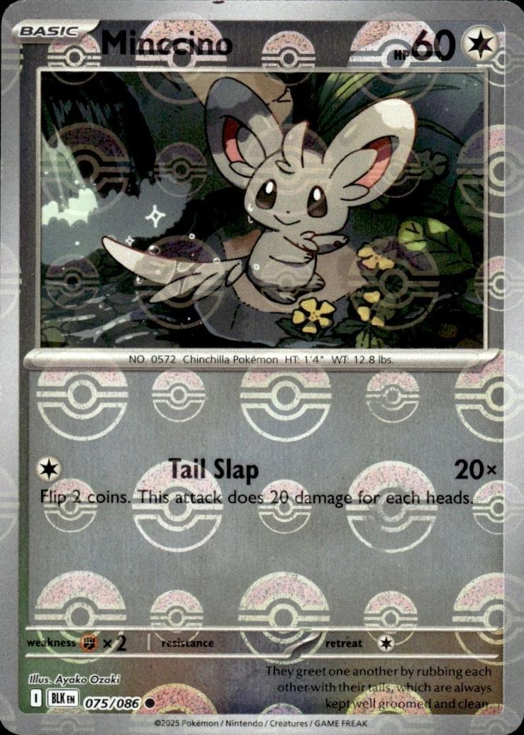 Minccino [Poke Ball] #75