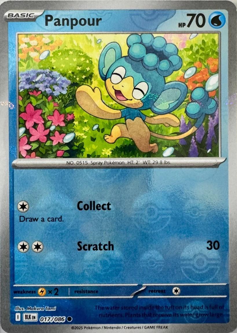 Panpour [Poke Ball] #17