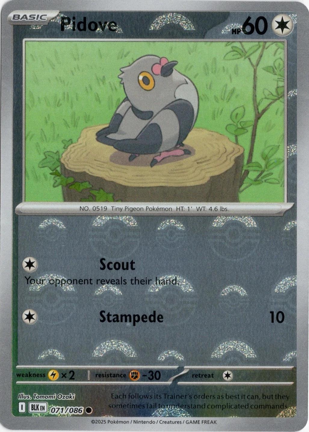 Pidove [Poke Ball] #71