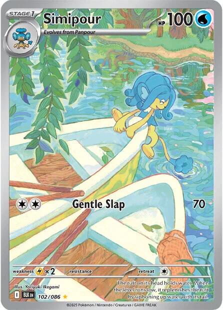 Simipour #102