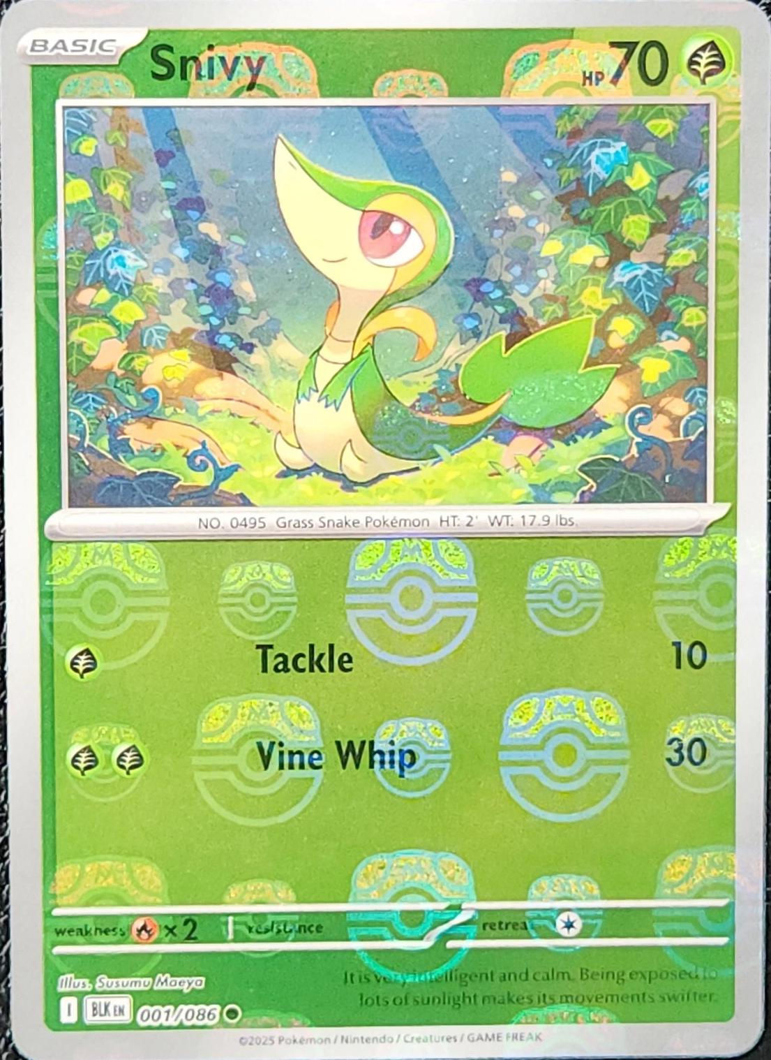 Snivy [Master Ball] #1