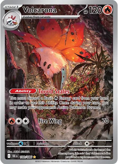 Volcarona #100