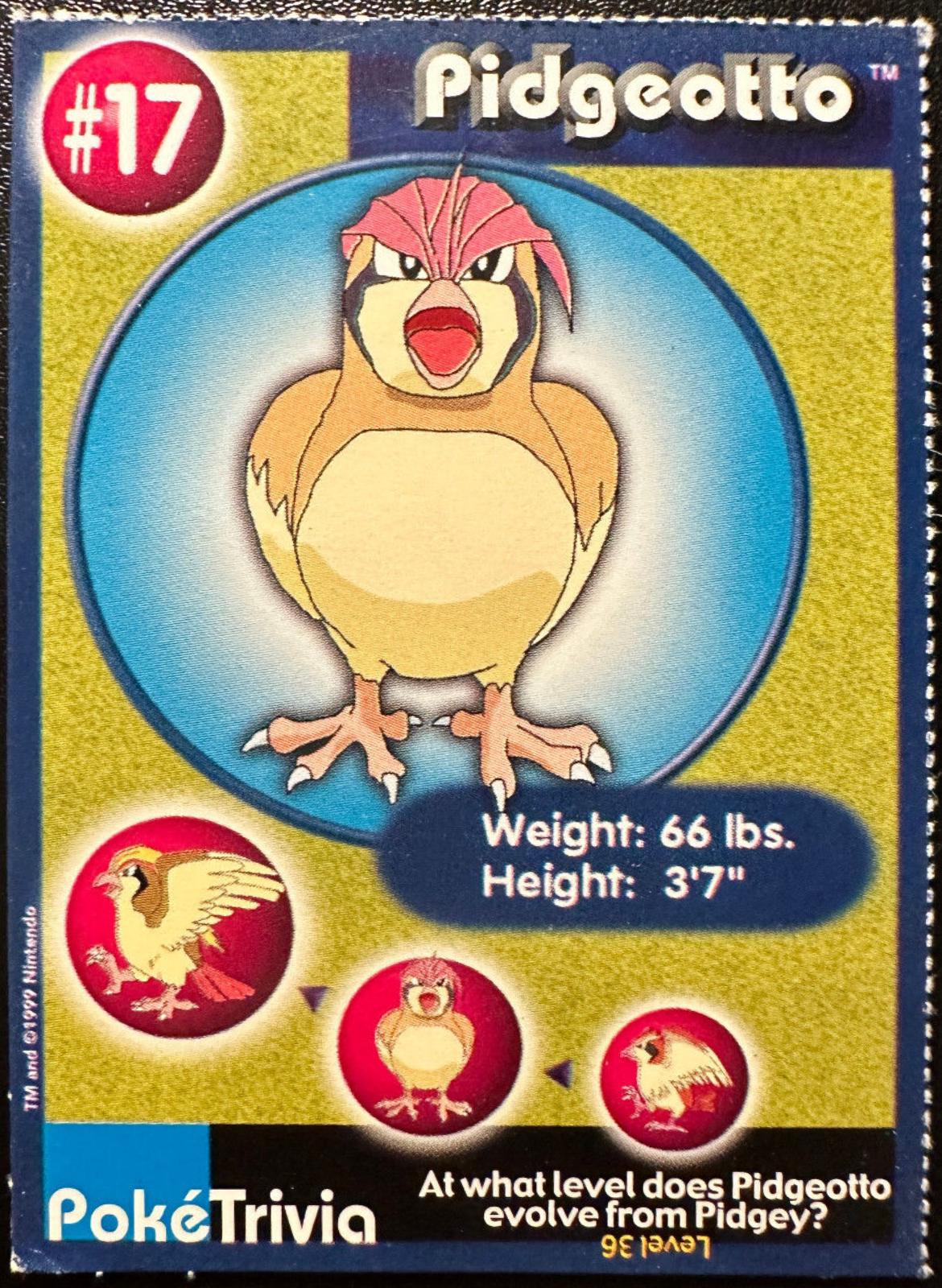 Pidgeotto #17