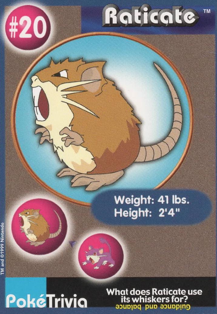 Raticate #20