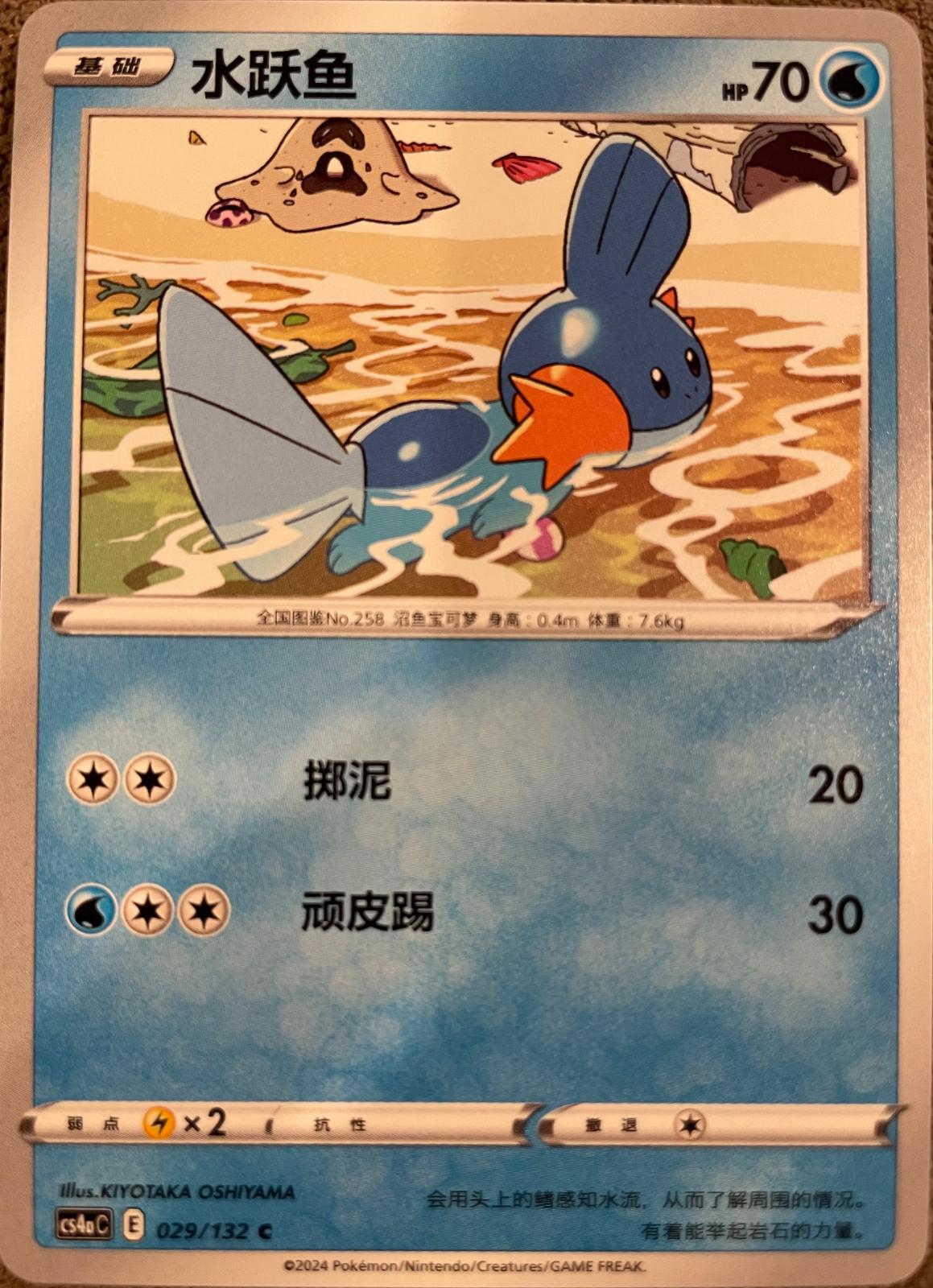 Mudkip #29