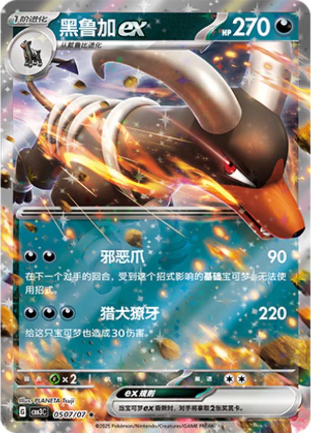 Houndoom ex #507