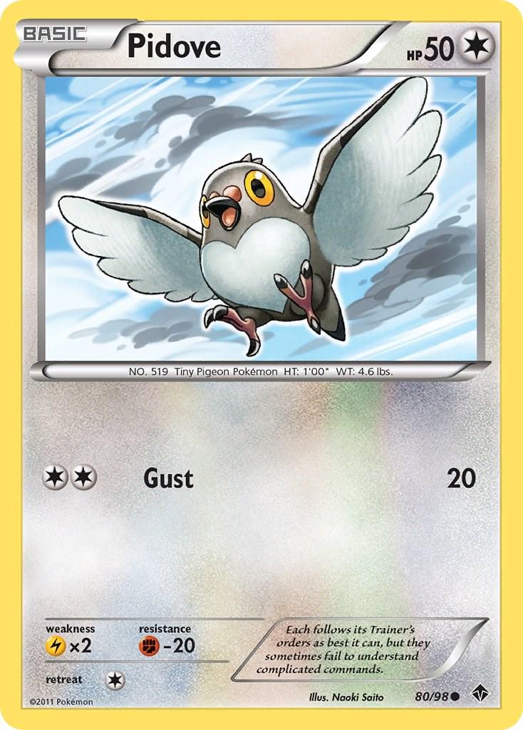 Pidove #80