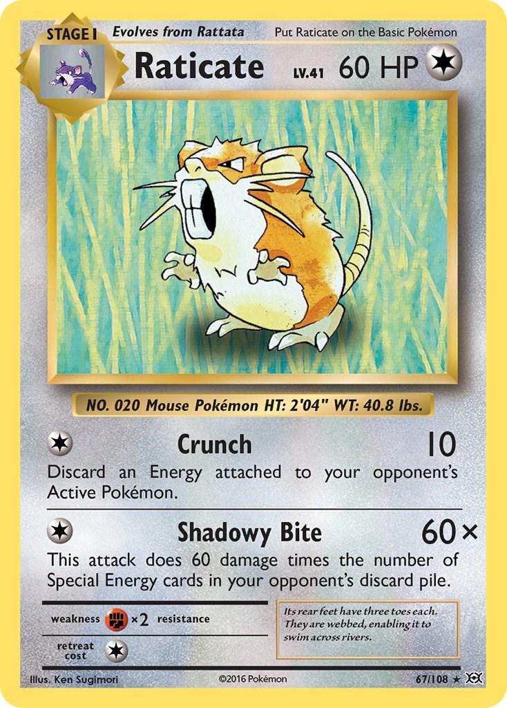 Raticate #67