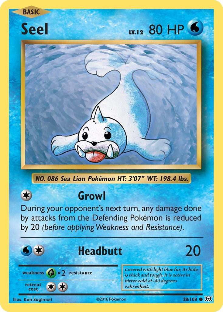 Seel #28