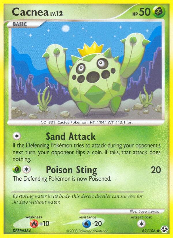 Cacnea #62