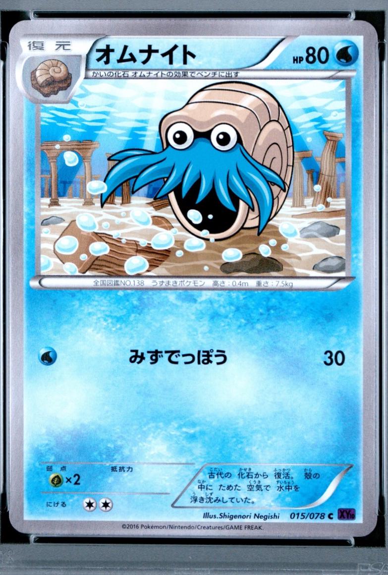 Omanyte #15