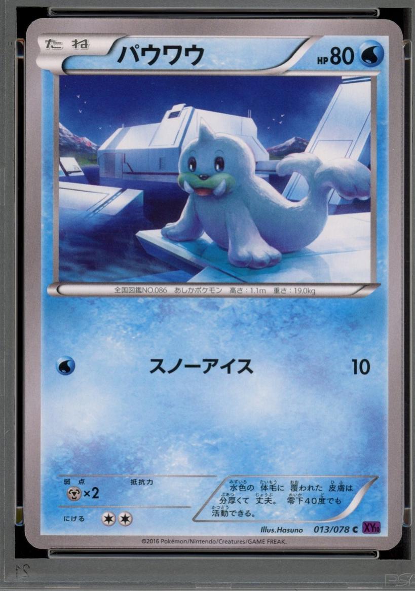 Seel #13