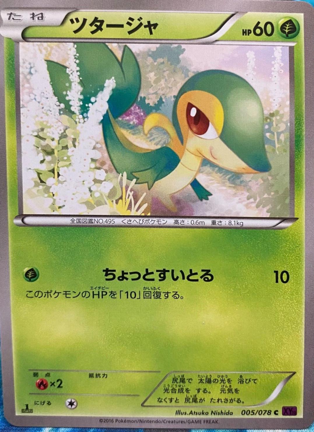 Snivy #5