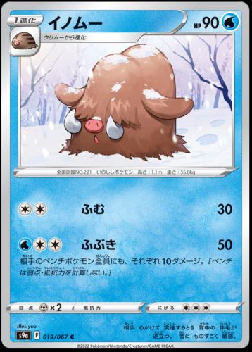 Piloswine #19