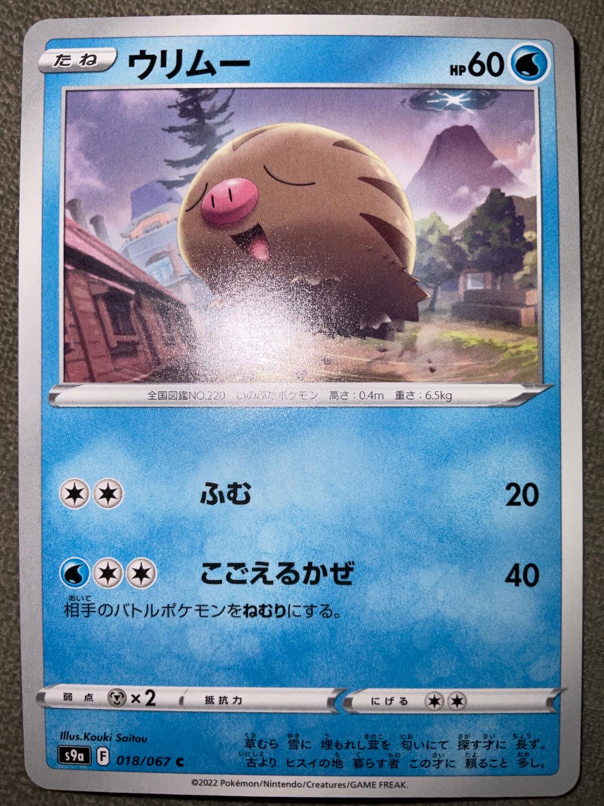 Swinub #18