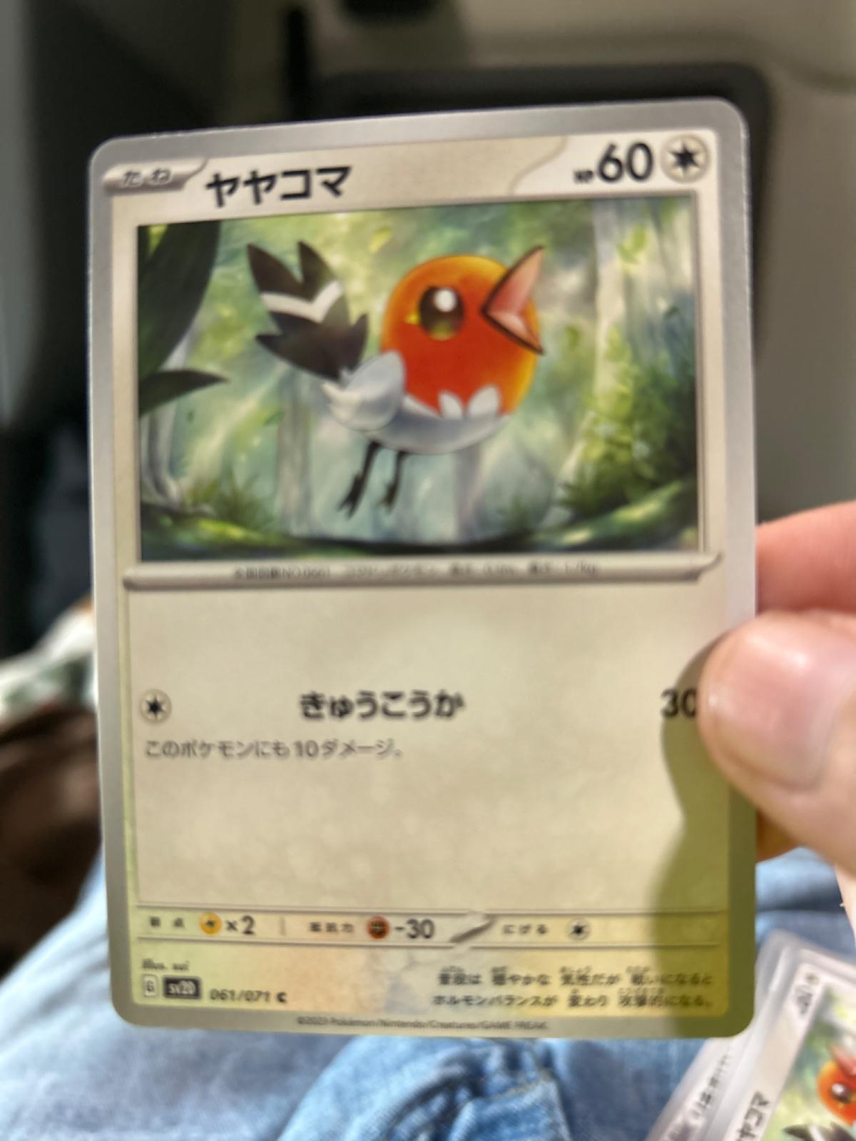 Fletchling #61