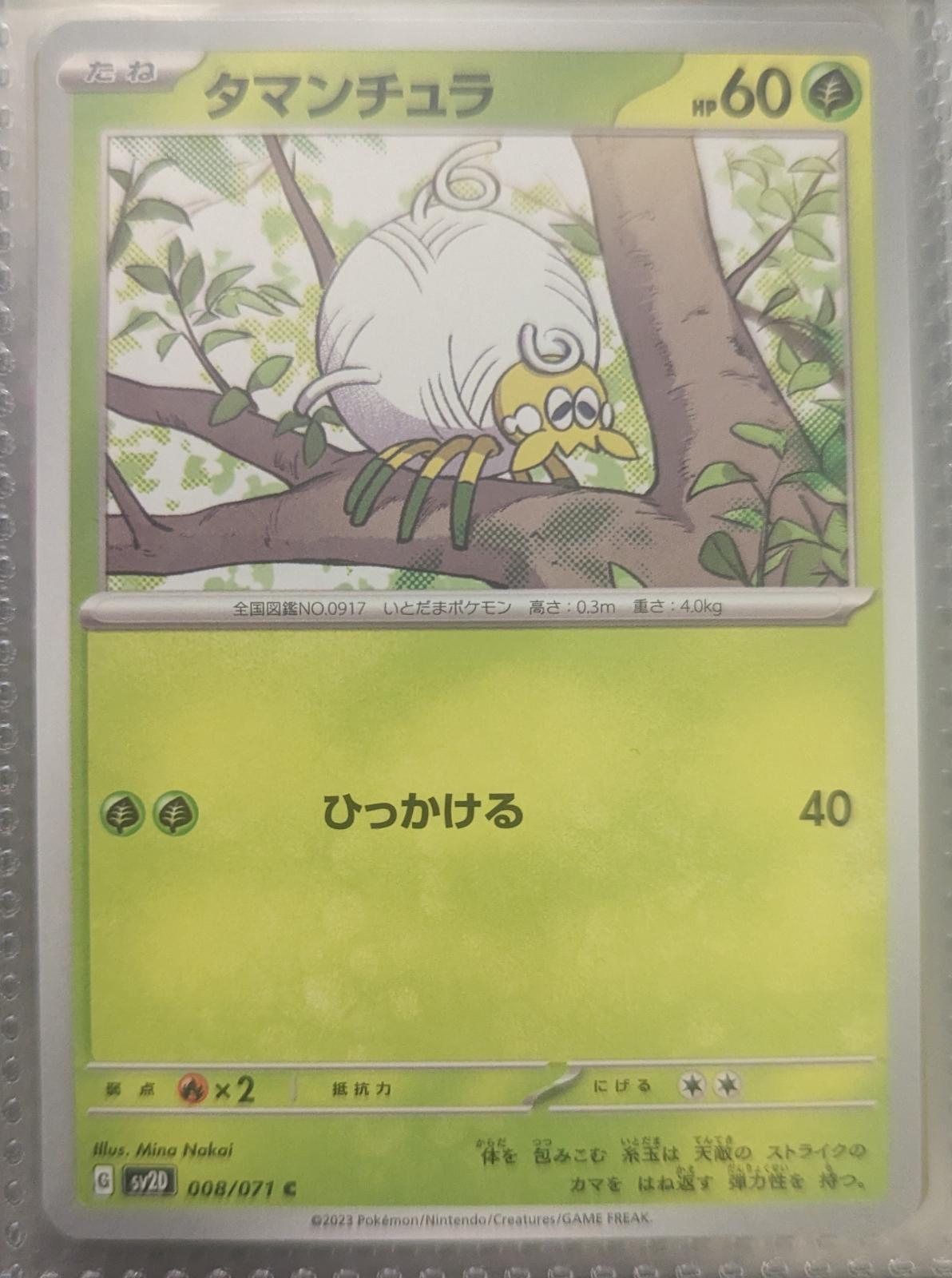Tarountula #8