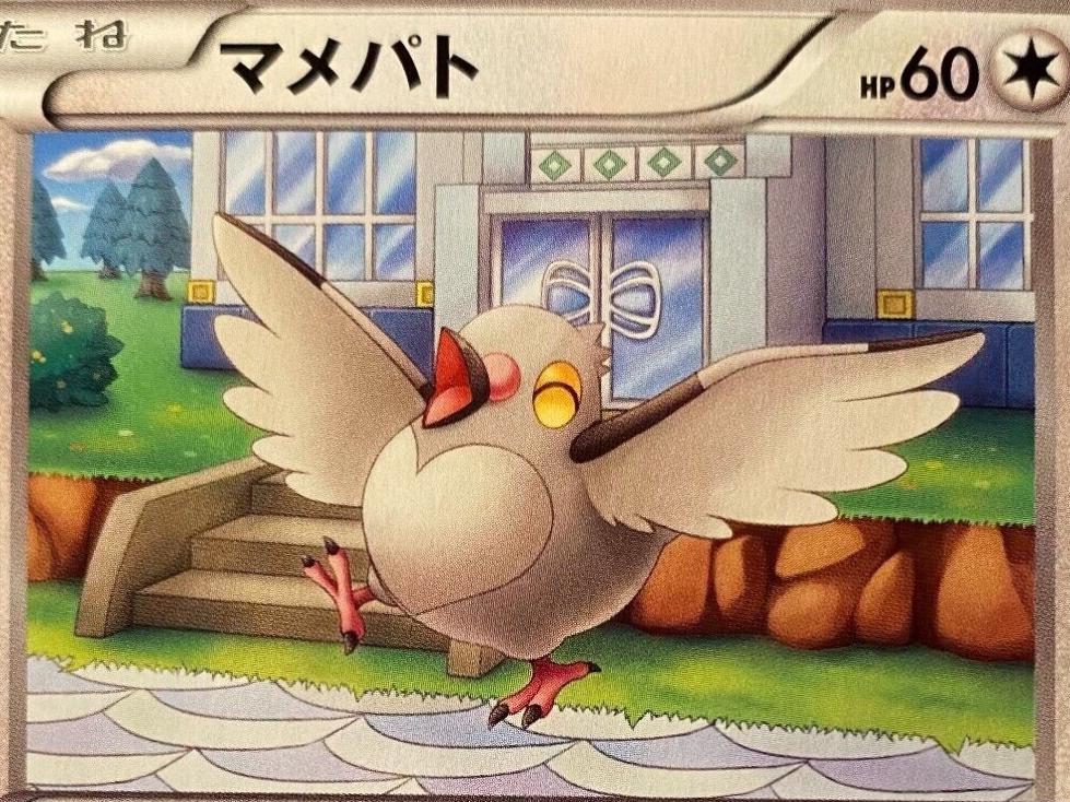 Pidove #64