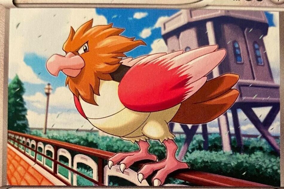 Spearow #52