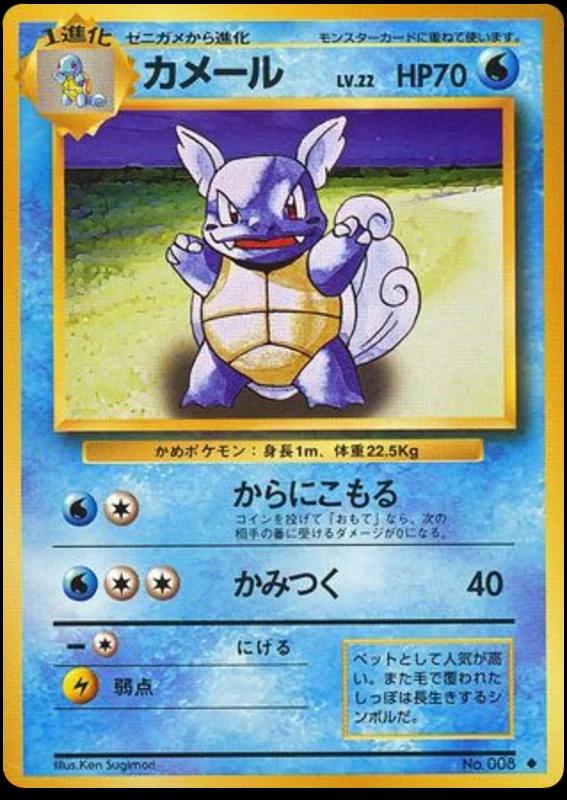 Wartortle #8
