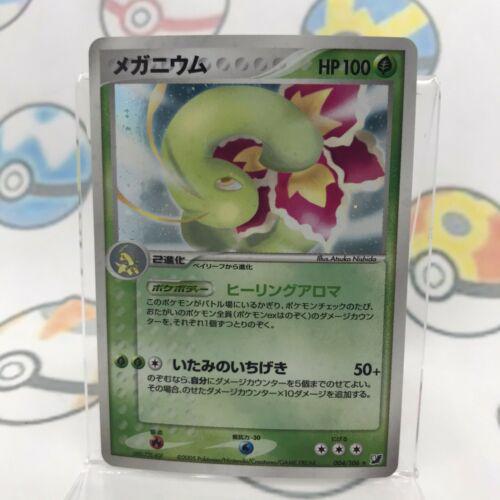 Meganium #4