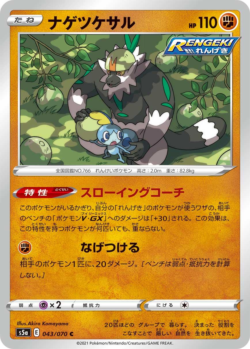 Passimian #43