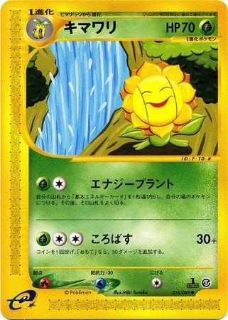 Sunflora #14