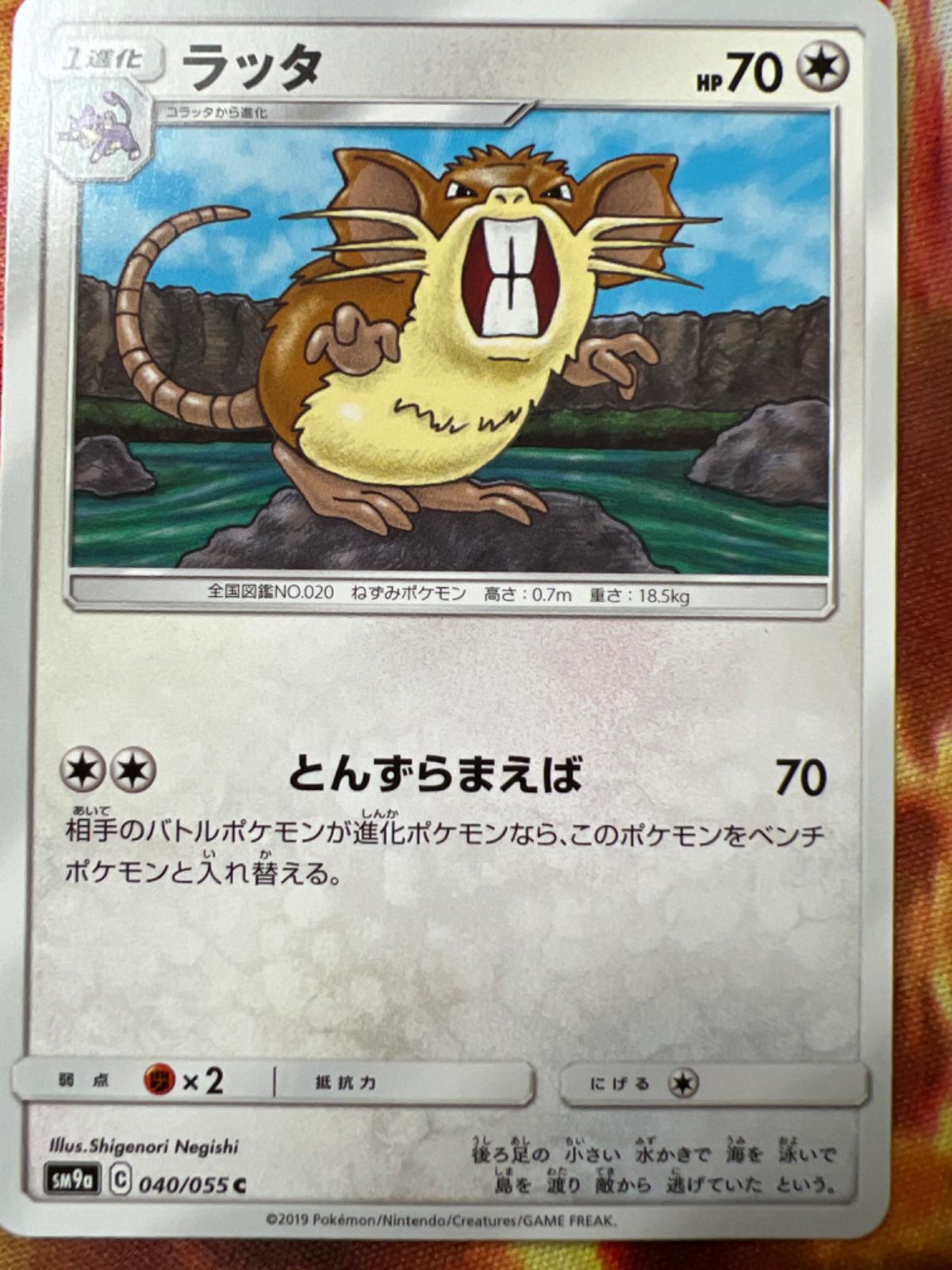 Raticate #40