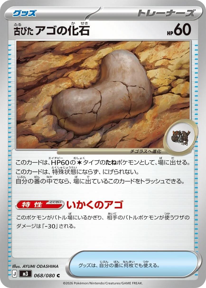 Antique Jaw Fossil #68