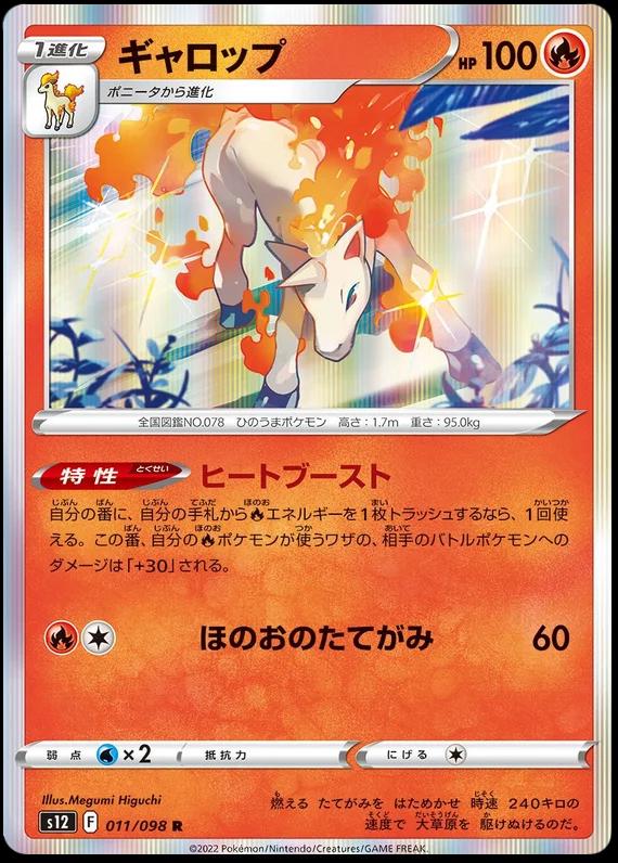 Rapidash #11