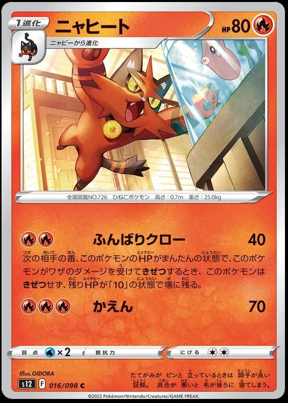 Torracat #16