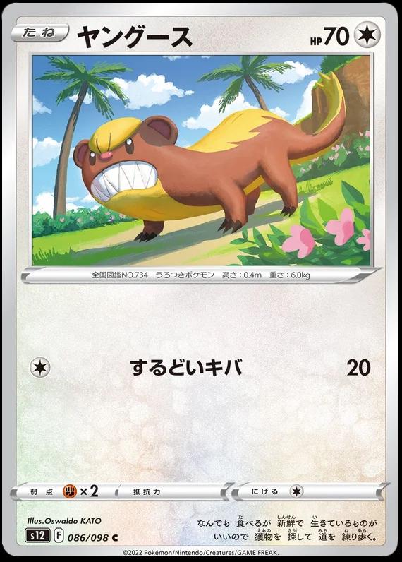 Yungoos #86