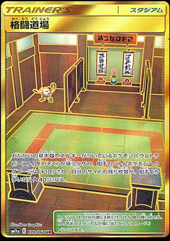 Martial Arts Dojo #79