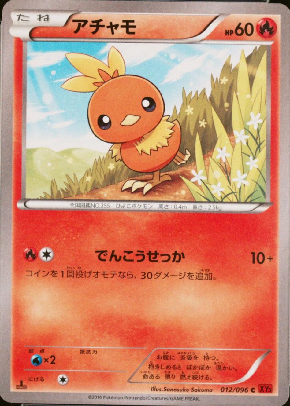 Torchic #12