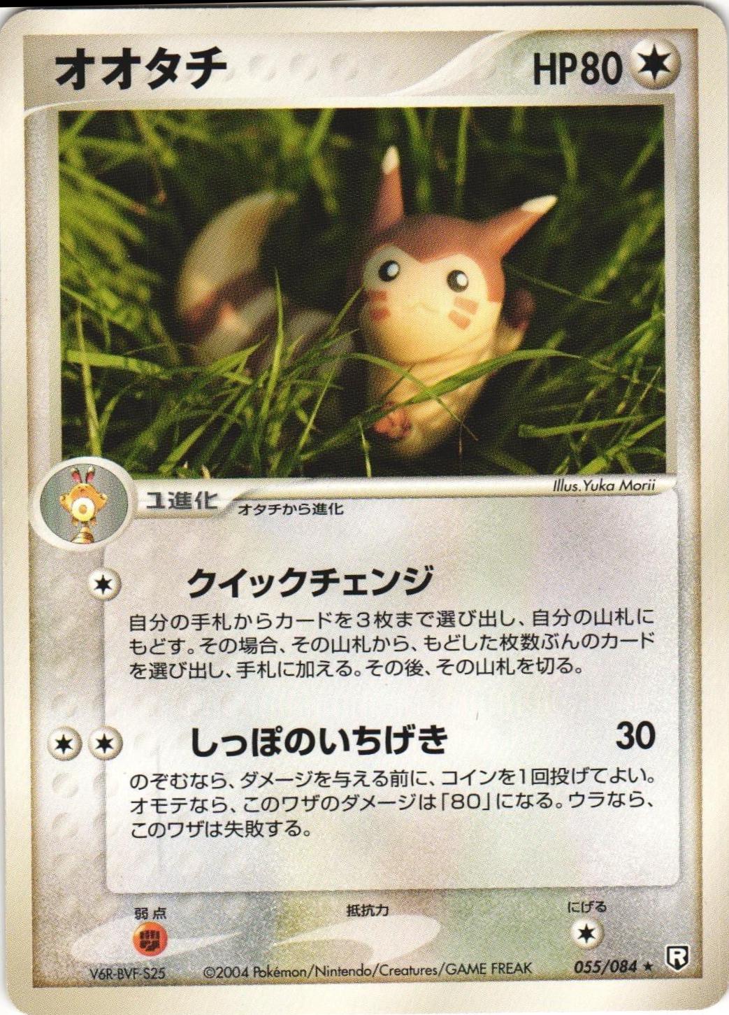Furret #55