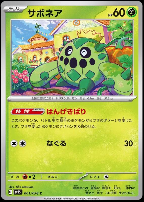 Cacnea #1