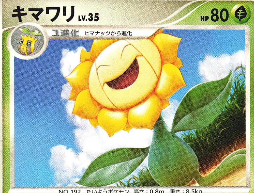 Sunflora [1st Edition]