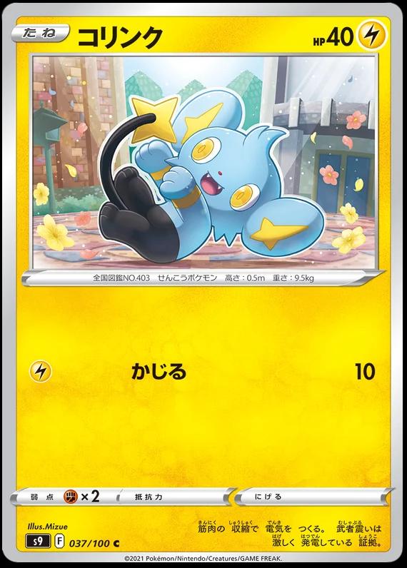 Shinx #37