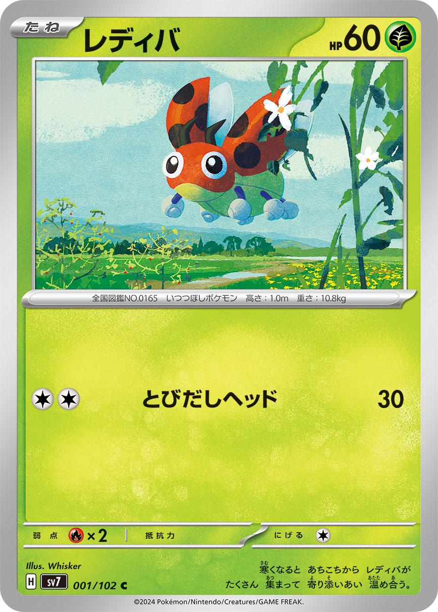 Ledyba #1