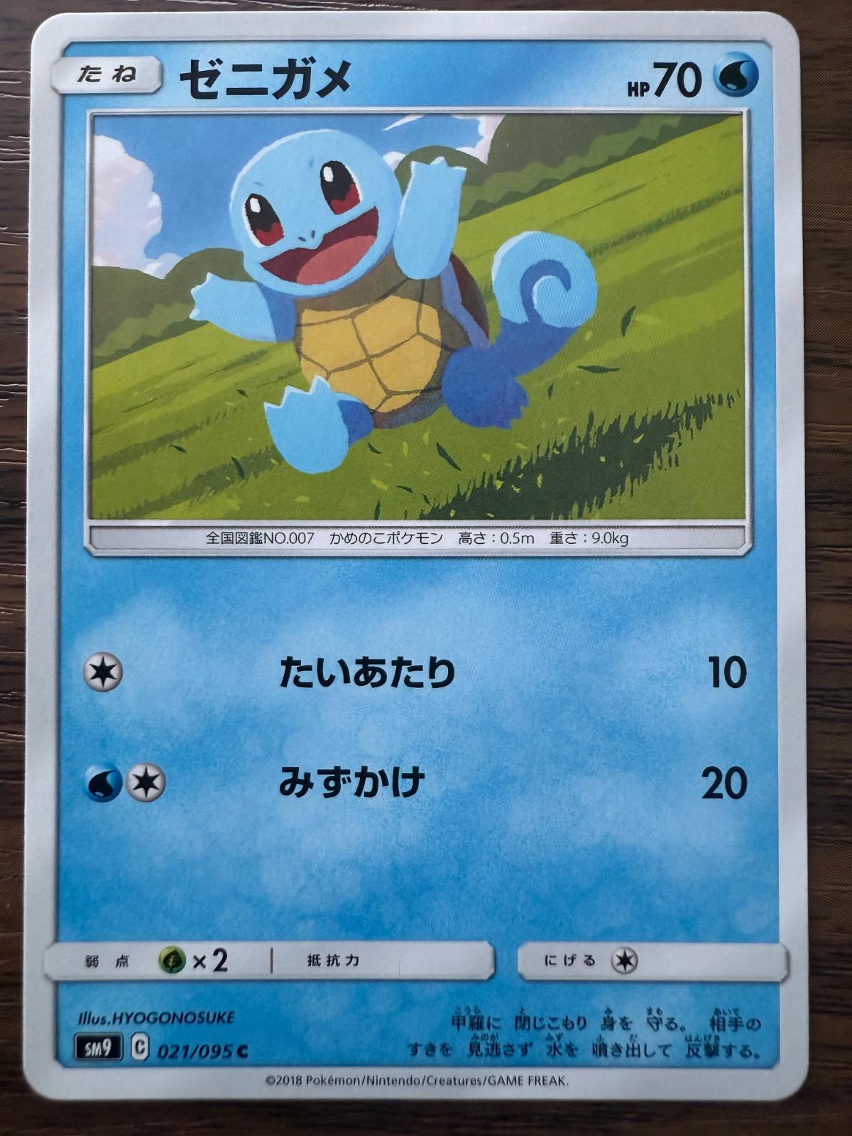 Squirtle #21